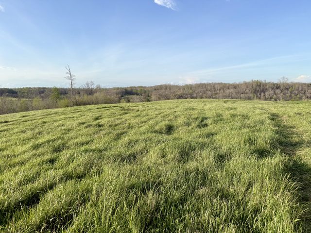 0 Brigham Branch Road, Erin, TN 37061