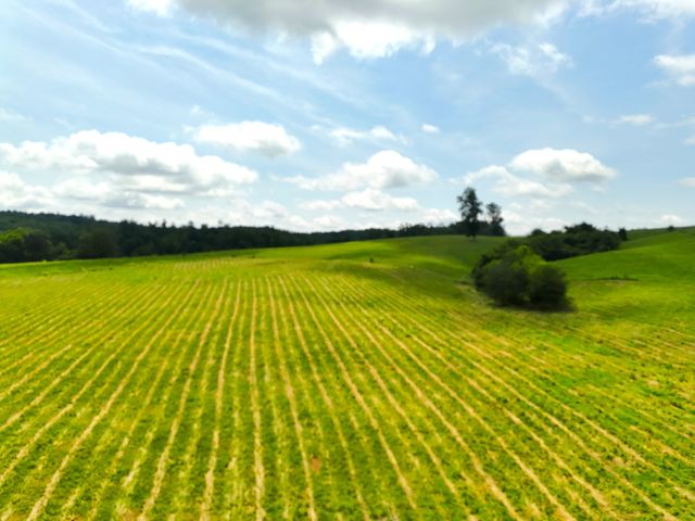 0 Brigham Branch Road, Erin, TN 37061