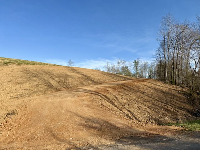0 Brigham Branch Road, Erin, TN 37061