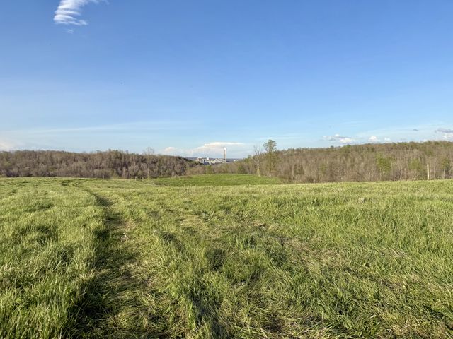 0 Brigham Branch Road, Erin, TN 37061