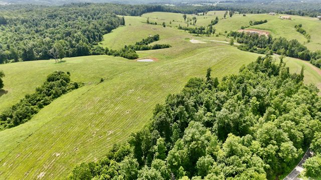 0 Brigham Branch Road, Erin, TN 37061