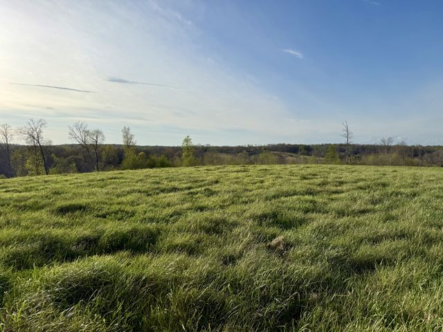 0 Brigham Branch Road, Erin, TN 37061