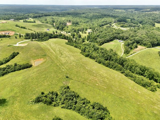 0 Brigham Branch Road, Erin, TN 37061