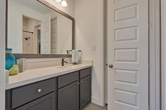 205 Patina Sorrel Drive, Montgomery, TX 77316