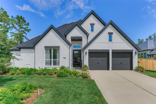 205 Patina Sorrel Drive, Montgomery, TX 77316