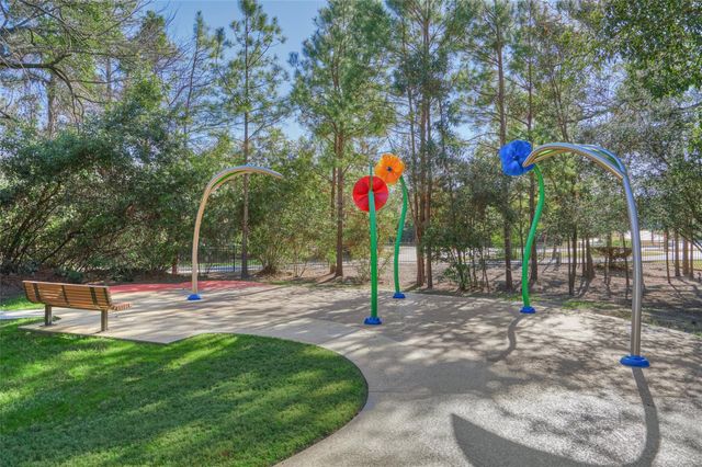 205 Patina Sorrel Drive, Montgomery, TX 77316