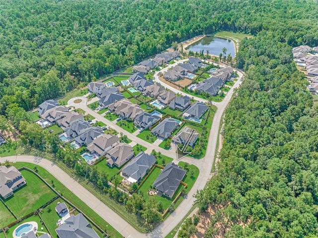 205 Patina Sorrel Drive, Montgomery, TX 77316
