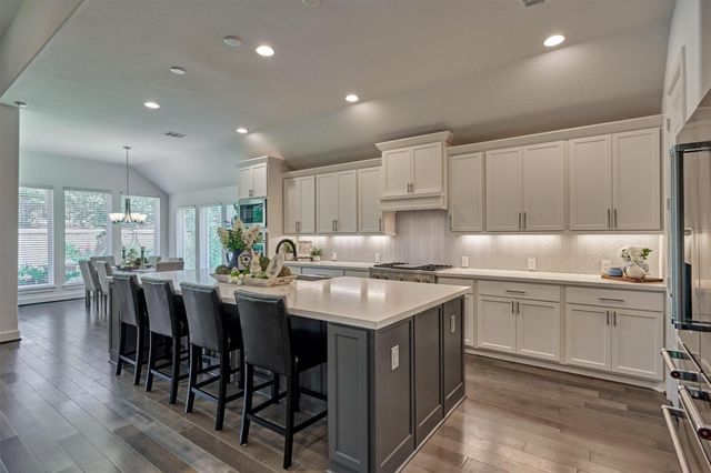 205 Patina Sorrel Drive, Montgomery, TX 77316