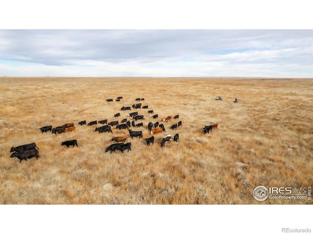 29899 County Road 88, Ault, CO 80610