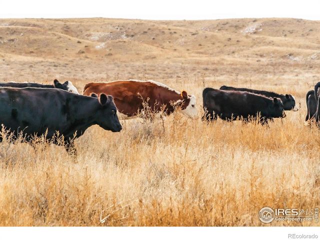 29899 County Road 88, Ault, CO 80610