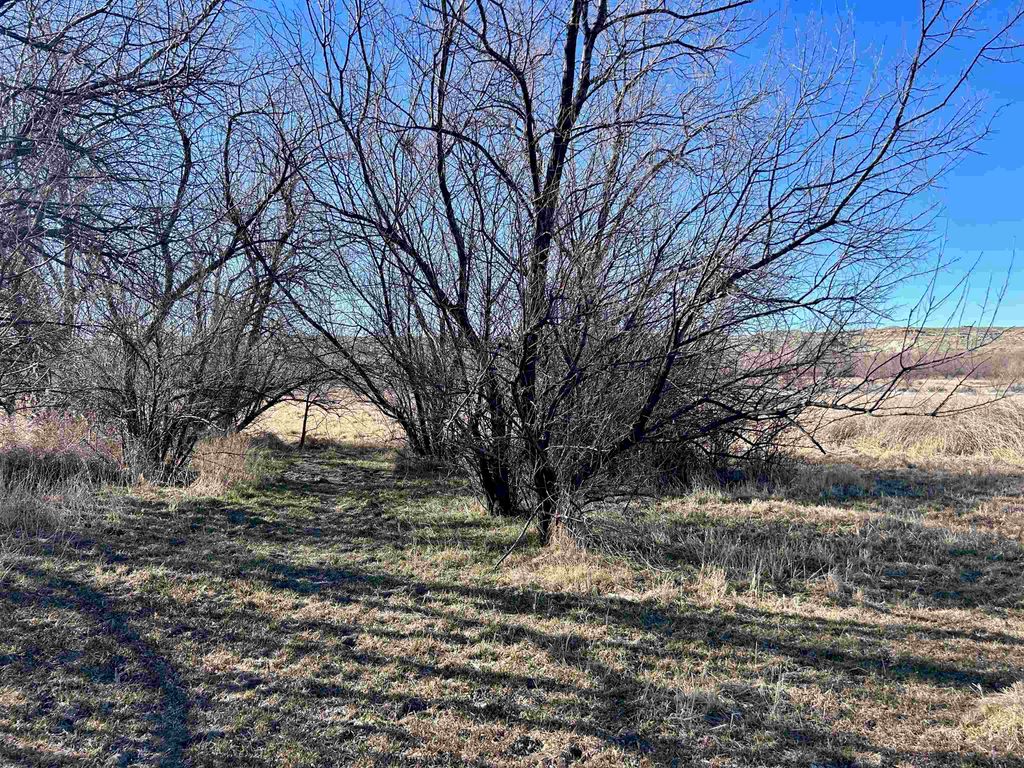 TBD Road 11 1/2, Lovell, WY 82431 photo 8