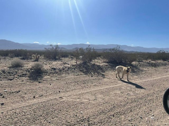 0 Carmer Road 0, Johnson Valley, CA 92285