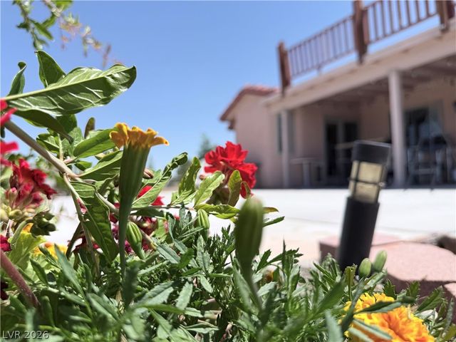 1220 Gamebird Road, Pahrump, NV 89048