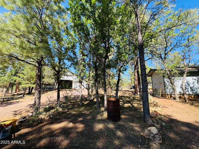 2640 Spoonbill Drive, Happy Jack, AZ 86024