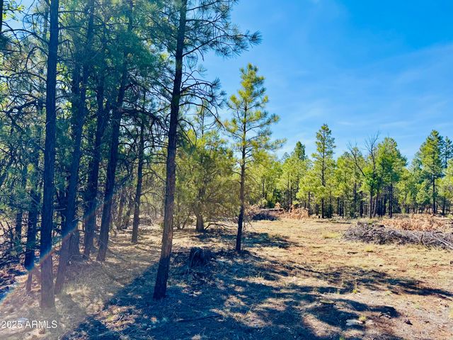 2640 Spoonbill Drive, Happy Jack, AZ 86024