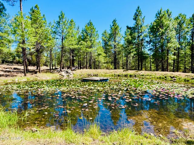 2640 Spoonbill Drive, Happy Jack, AZ 86024