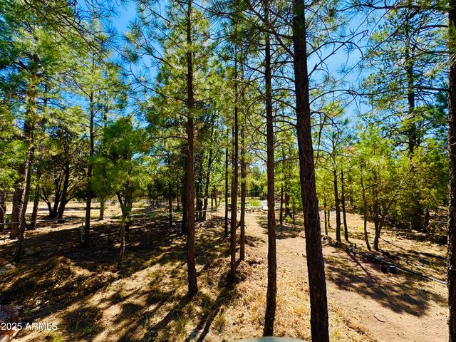 2640 Spoonbill Drive, Happy Jack, AZ 86024