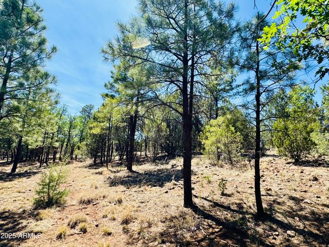 2640 Spoonbill Drive, Happy Jack, AZ 86024