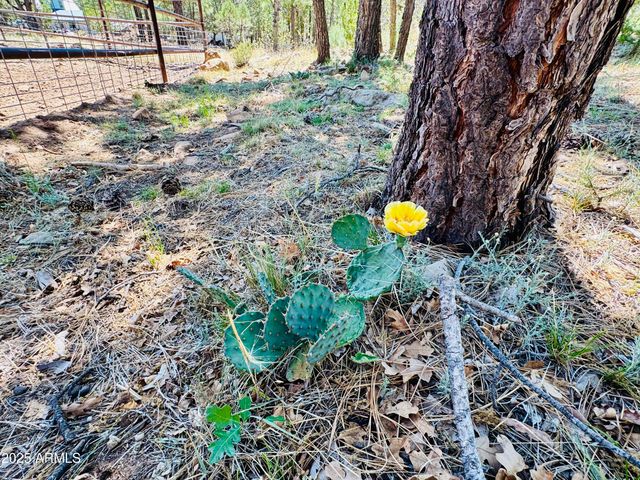 2640 Spoonbill Drive, Happy Jack, AZ 86024