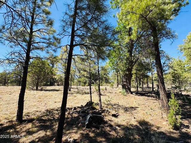 2640 Spoonbill Drive, Happy Jack, AZ 86024