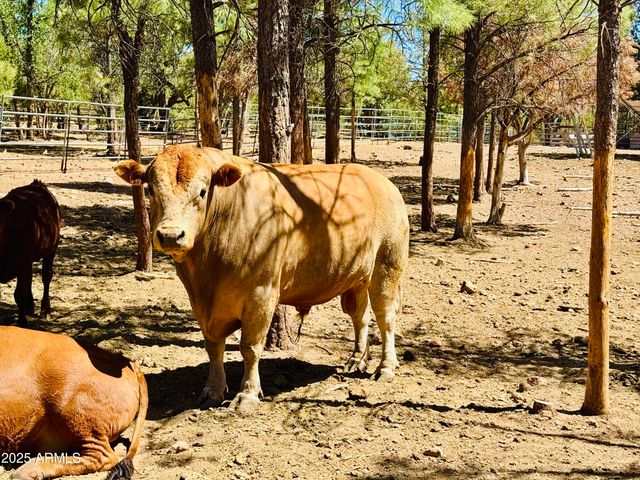 2640 Spoonbill Drive, Happy Jack, AZ 86024