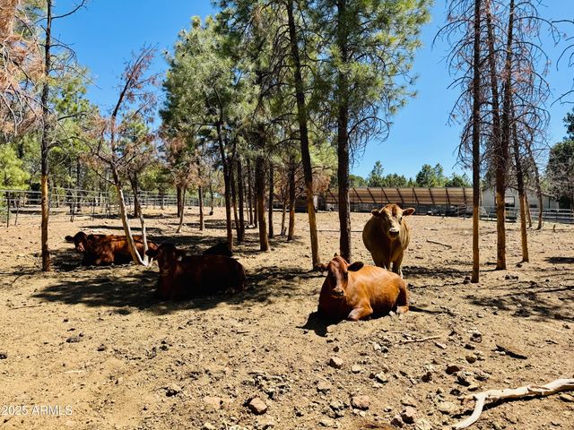 2640 Spoonbill Drive, Happy Jack, AZ 86024