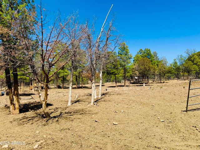 2640 Spoonbill Drive, Happy Jack, AZ 86024