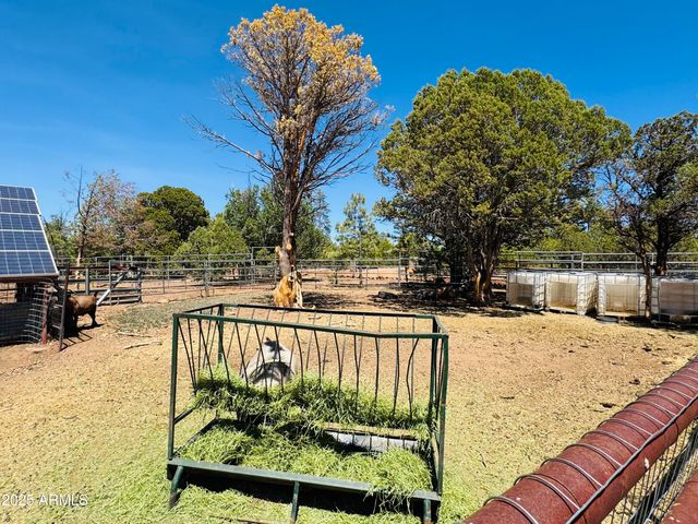 2640 Spoonbill Drive, Happy Jack, AZ 86024