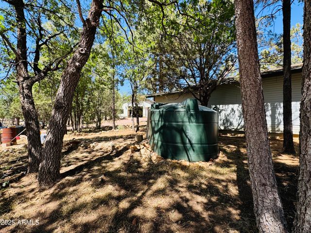 2640 Spoonbill Drive, Happy Jack, AZ 86024