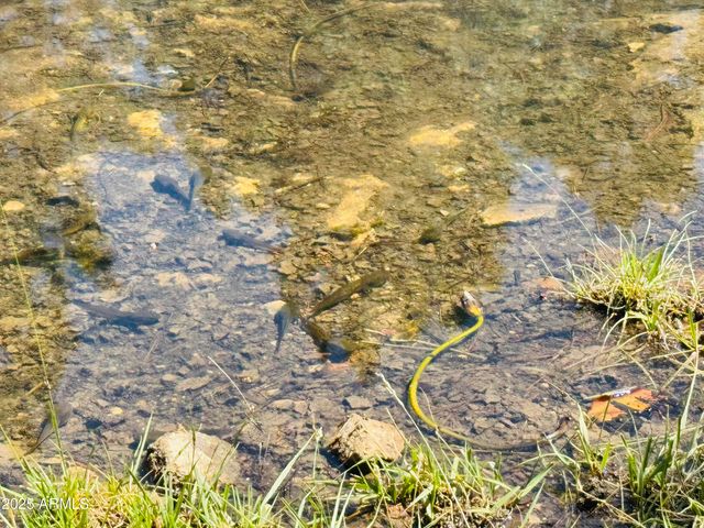 2640 Spoonbill Drive, Happy Jack, AZ 86024