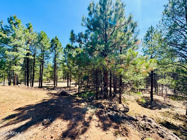 2640 Spoonbill Drive, Happy Jack, AZ 86024