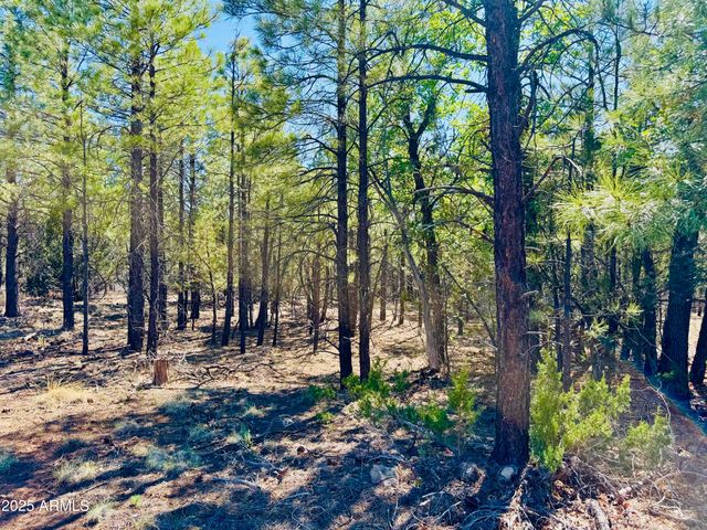 2640 Spoonbill Drive, Happy Jack, AZ 86024