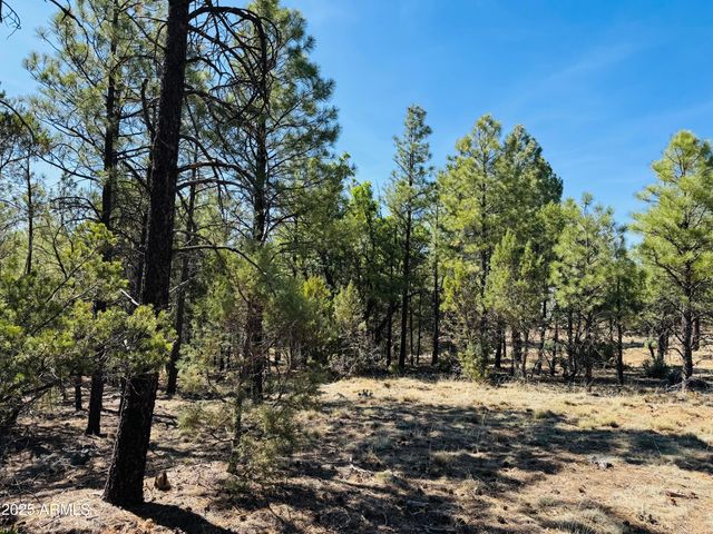 2640 Spoonbill Drive, Happy Jack, AZ 86024