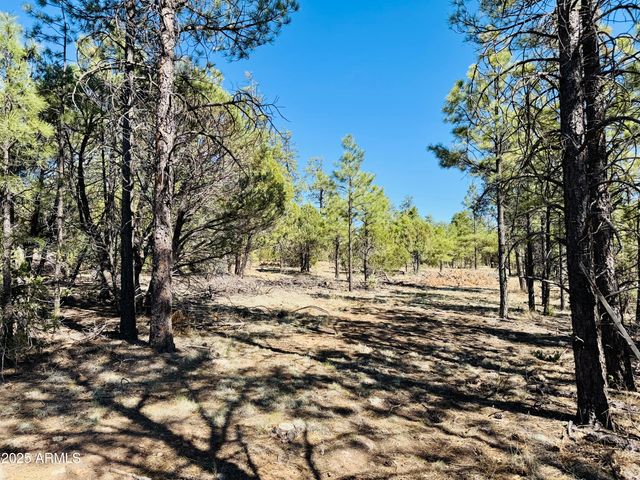 2640 Spoonbill Drive, Happy Jack, AZ 86024