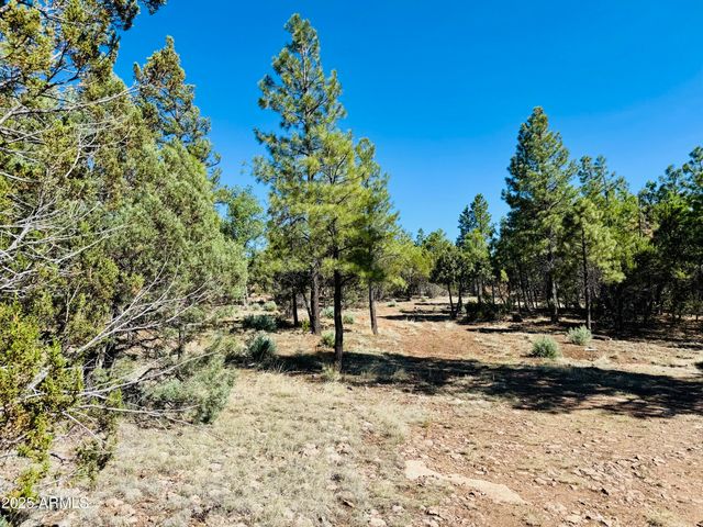 2640 Spoonbill Drive, Happy Jack, AZ 86024