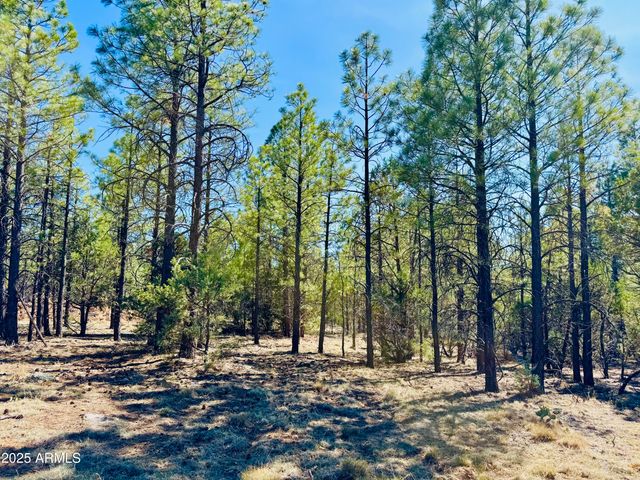 2640 Spoonbill Drive, Happy Jack, AZ 86024