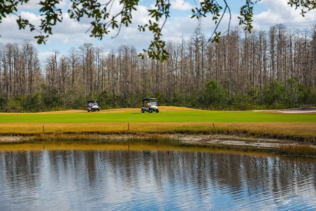 20520 HOMOSSASA COURT, Land O Lakes, FL 34637