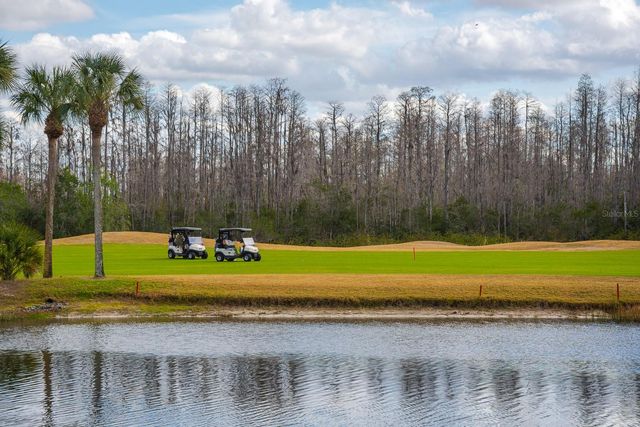 20520 HOMOSSASA COURT, Land O Lakes, FL 34637