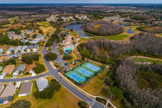 20520 HOMOSSASA COURT, Land O Lakes, FL 34637