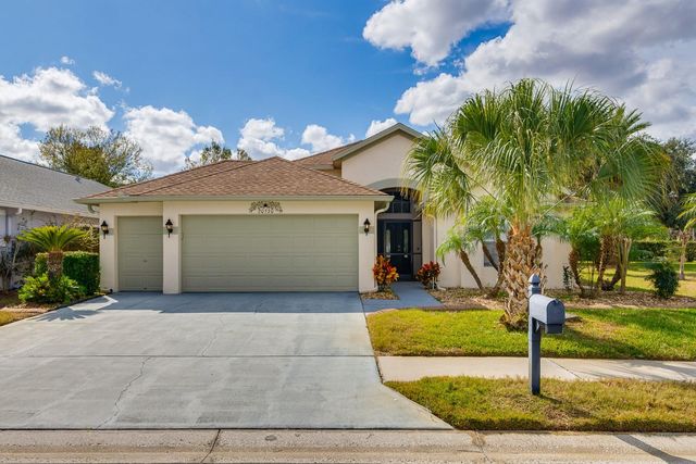 20520 HOMOSSASA COURT, Land O Lakes, FL 34637