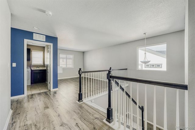 2633 Garganey Drive, Castle Rock, CO 80104
