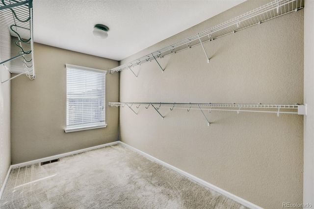 2633 Garganey Drive, Castle Rock, CO 80104