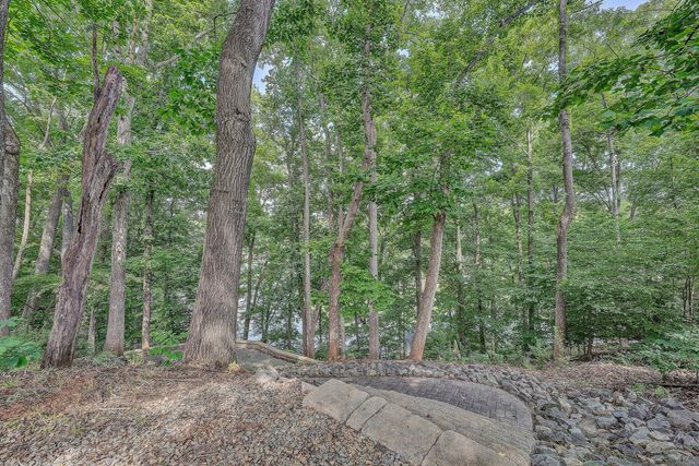 LOT 19 Chestnut Pointe DR, Hardy, VA 24101