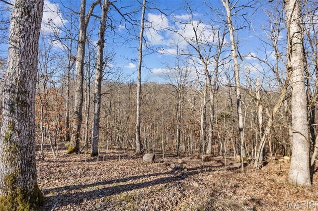 13467 Cedar Hollow Road, Fletcher, MO 63030