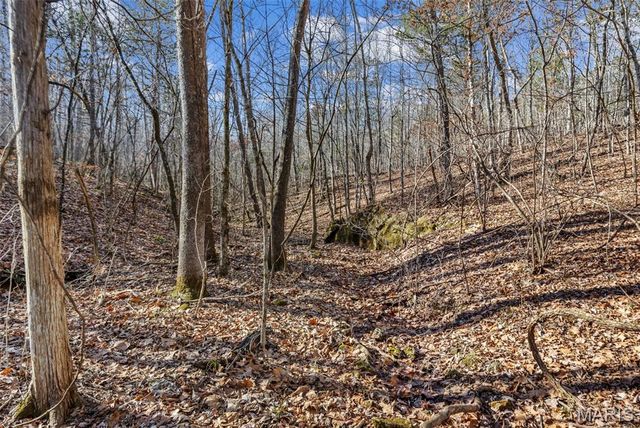 13467 Cedar Hollow Road, Fletcher, MO 63030