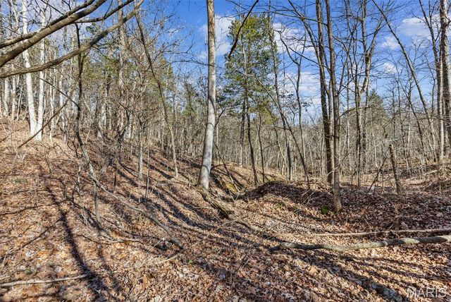 13467 Cedar Hollow Road, Fletcher, MO 63030