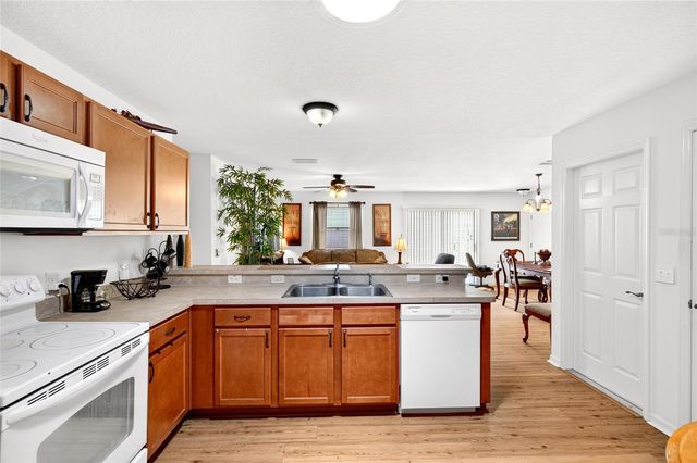1463 OLYMPIA STREET, The Villages, FL 32163