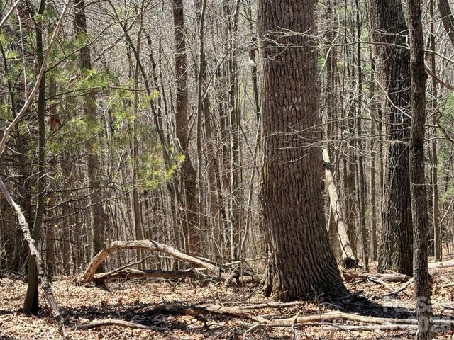 000 Granny Shepherd Road Lot 3, Mars Hill, NC 28754