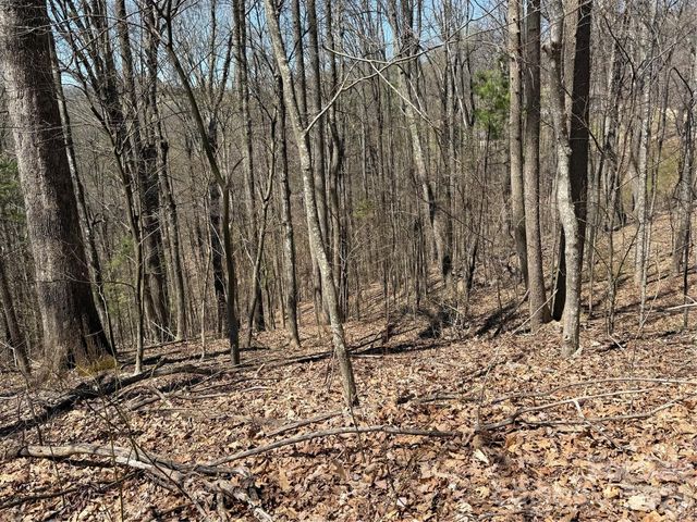 000 Granny Shepherd Road Lot 3, Mars Hill, NC 28754