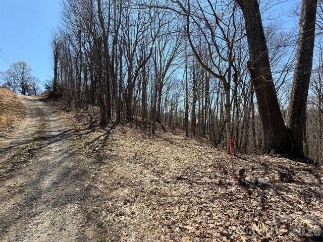 000 Granny Shepherd Road Lot 3, Mars Hill, NC 28754